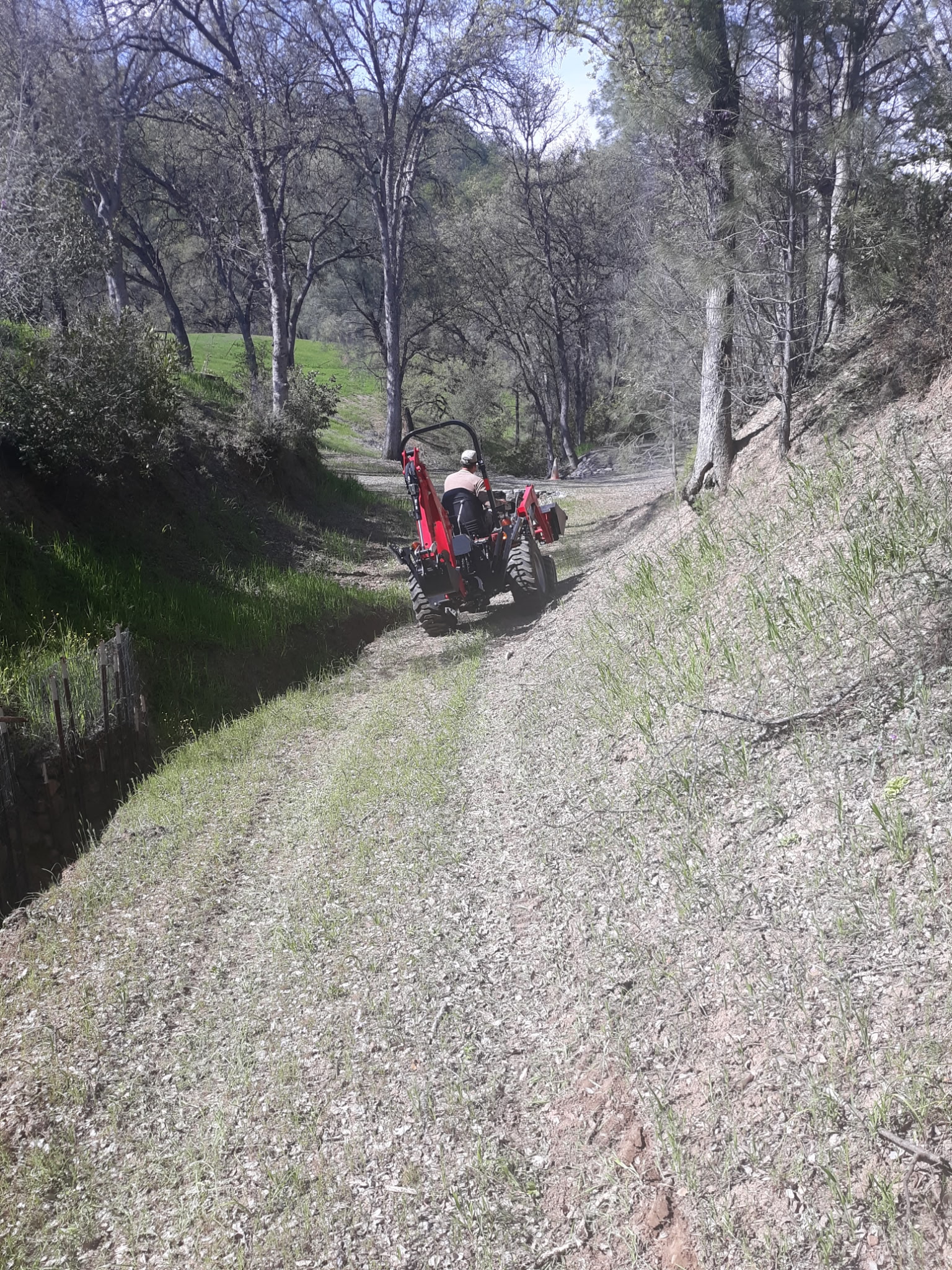 Land clearing on dirt path